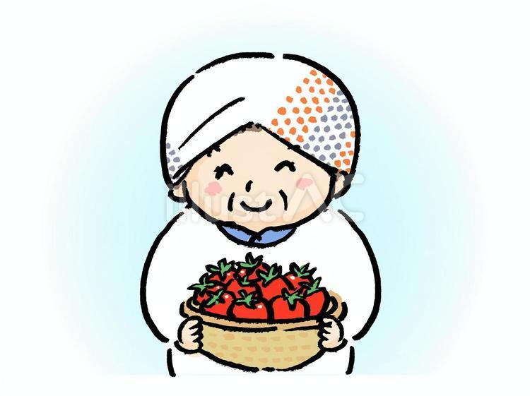 トマト農家のおばちゃん トマト農家,農家,おばちゃんのイラスト素材