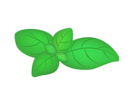 バジルのアイコン バジル,ハーブ,葉,爽やか,野菜,植物,食べ物,農作物,食材,アイコンのイラスト素材