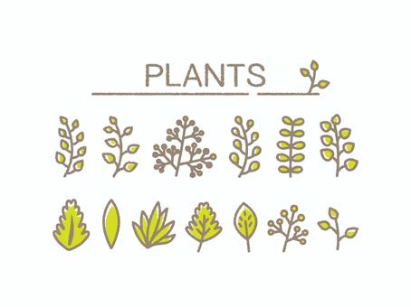 Plant set faint, JPG, PNG and AI Plant set faint, plant, set, faint, JPG, PNG and AI