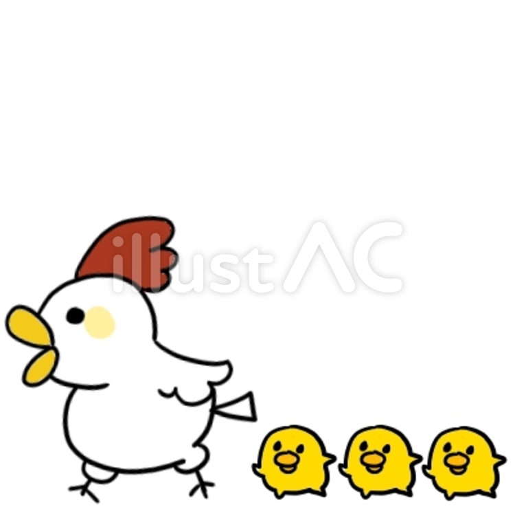 にわとり にわとり,鶏,ひよこのイラスト素材