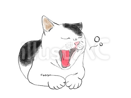 ねこ あくびする 01 ぶち