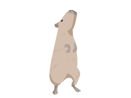 Illustration, capybara, water pig, oni ranger, 