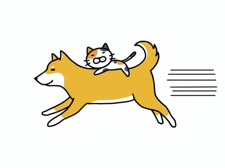 走る犬猫 犬,猫,柴犬,三毛猫,動物,走る,駆ける,跳ぶ,乗る,しがみつくのイラスト素材