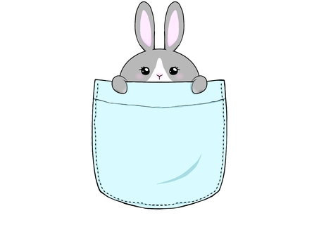 ポケットうさちゃん うさぎ,ハチワレ,ポケット,可愛い,手描き,立ち耳,灰色のイラスト素材