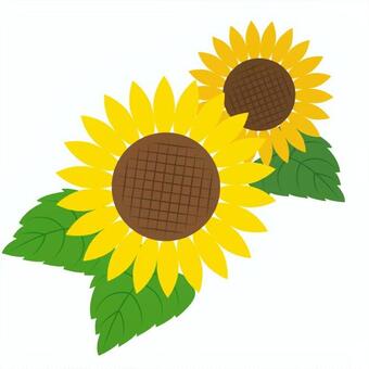 シンプルなヒマワリのアイコンイラスト 7 ひまわり,ヒマワリ,向日葵,夏,夏休み,黄色,黄,花,植物,イエローのイラスト素材