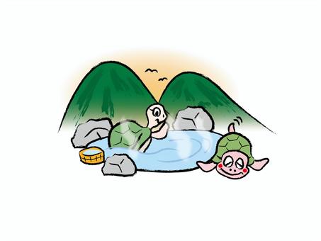 Illustration, hot spring, turtle, animal, 