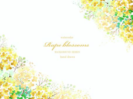 Rape blossom watercolor frame, JPG, PNG and AI Rape blossom watercolor frame, , JPG, PNG and AI