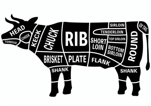 牛肉の部位・英語 牛,肉,部位,名称,英語,head,chuck,rib,shortloin,roundのイラスト素材
