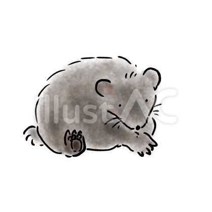 クマ 日本の動物シリーズ