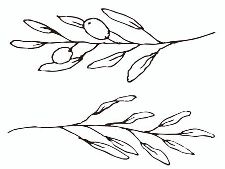 手描きのオリーブの枝の線画イラスト 手描きのオリーブの枝の線画イラスト オリーブ,オリーブの実,手書き,果実,植物,手描き,イラスト,デザイン,葉っぱ,枝のイラスト素材