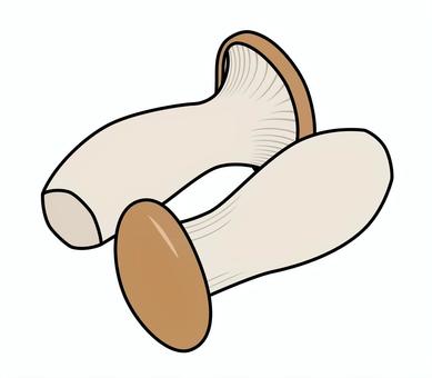 エリンギのアイコン