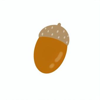 どんぐり　マテバシイ　手描き どんぐり,秋,保育園,幼稚園,小学校,教材,学校,マテバシイ,かわいい,きれいのイラスト素材
