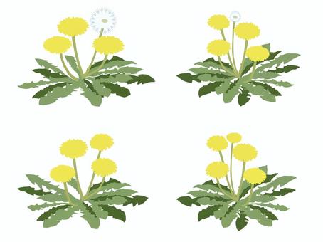 Illustration, dandelion, flower, weed, 