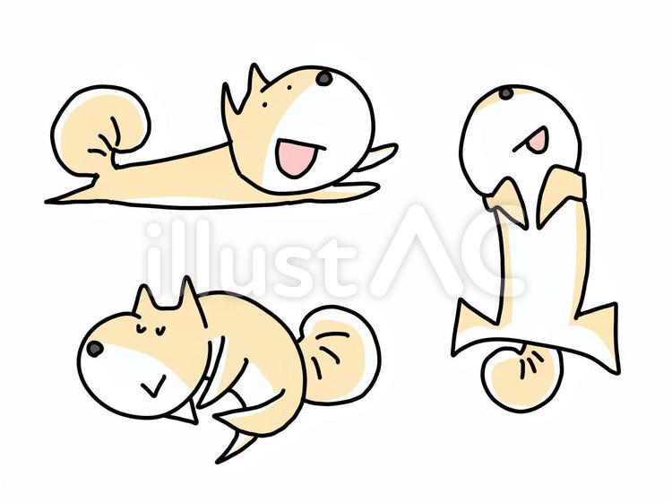 寝転ぶ柴犬 犬,イヌ,ペットのイラスト素材