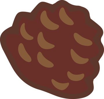 松ぼっくり 松ぼっくり,種,松,植物,手描き,かわいい,あしらい,冬,シンプルのイラスト素材