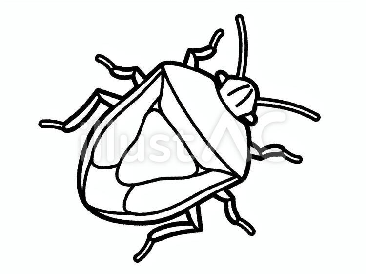 カメムシ（線のみ） カメムシ,チャバネアオカメムシ,くさむしのイラスト素材
