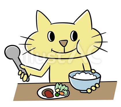 食事をする猫 ごはん 食生活