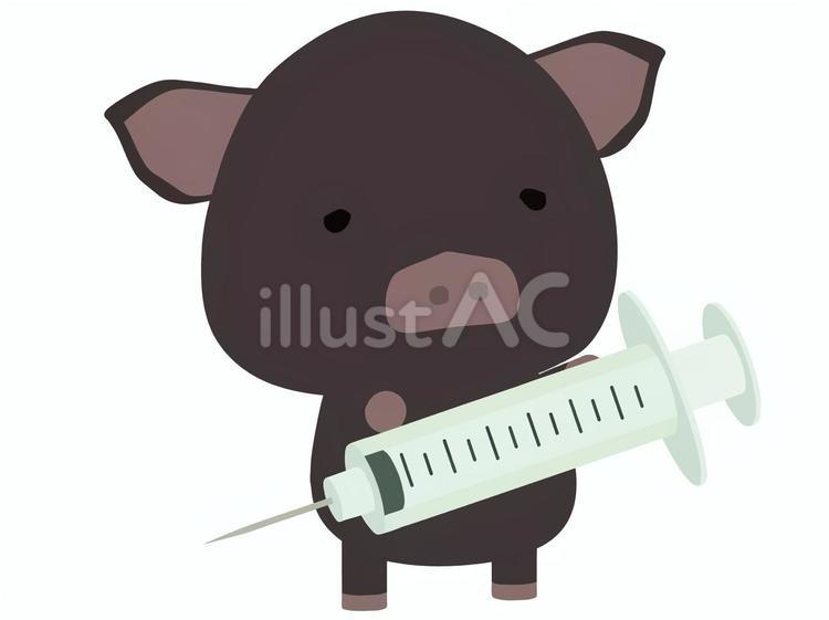 注射器_豚 注射器,ブタ,黒豚のイラスト素材