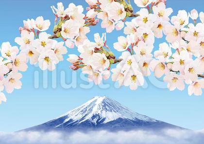 180-風景4 富士山と桜2