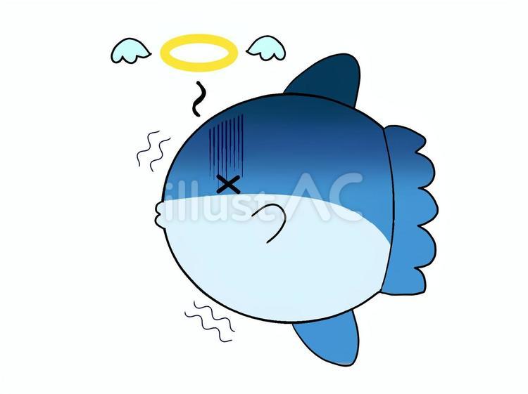 寒すぎマンボウ まんぼう,生き物,水族館のイラスト素材