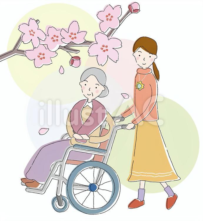 女性が車椅子のおばあさんと花見に行く おばあさん,女性,車椅子のイラスト素材