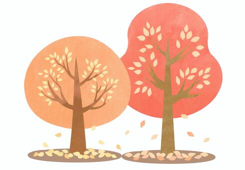 紅葉した2本の木　2 紅葉,木,樹木,木の葉,葉,枯れ葉,秋,10月,11月,初秋のイラスト素材