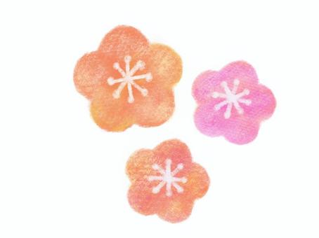 梅の花 梅の花,梅,花,パステル,クレヨン,挿絵,素材のイラスト素材