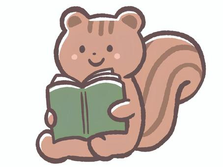 読書の秋で本を読むリス 本,リス,読書,秋,9月,10月,11月,動物,哺乳類,齧歯類のイラスト素材