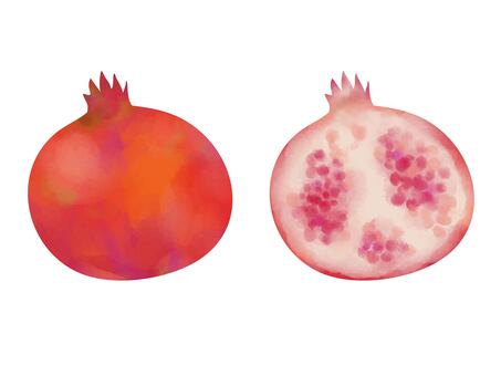 フルーツ水彩　ざくろ ザクロ,柘榴,水彩,フルーツ,果物,果実,実,食べ物,デザート,シンプルのイラスト素材