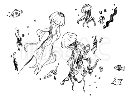 クラゲセット【アナログ・ペン画】