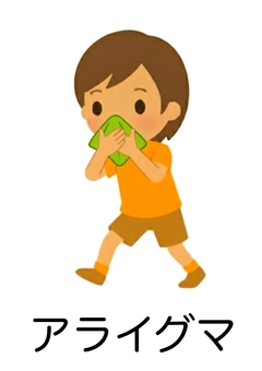 アライグマのポーズ・絵カード アライグマのポーズ,避難訓練,絵カード,視覚支援,特別支援のイラスト素材