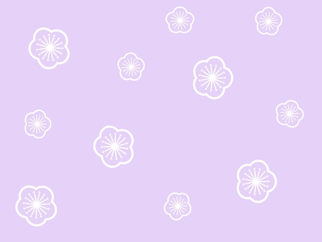 plum purple, , JPG