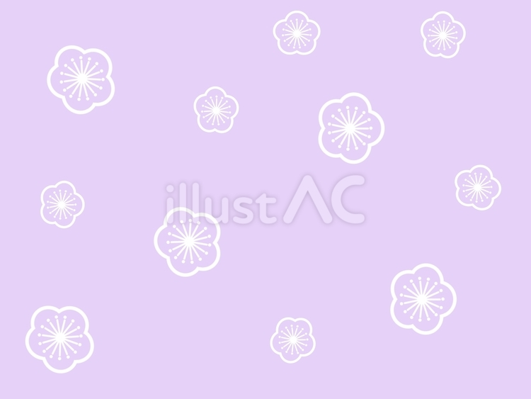 梅　紫 梅,紫,和柄のイラスト素材