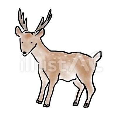 シカ 日本の動物シリーズ