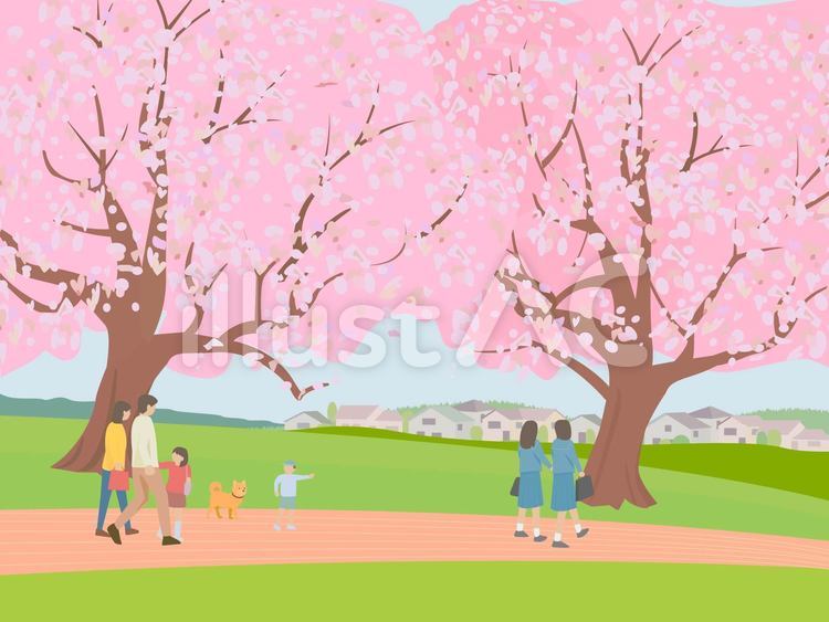 桜と街並み 桜,人,花見のイラスト素材