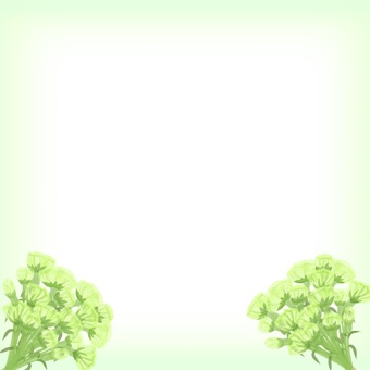 Carnation frame, JPG Carnation frame, carnation, green, pale, JPG