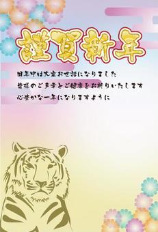 Illustration, tiger, dora, yin, 