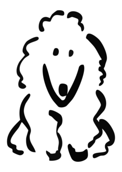 おすわりをするプードル お座り,犬,プードル,ペット,しつけ,かわいい,わんこ,動物,ふわふわ,シンプルのイラスト素材