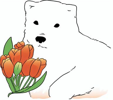 Illustration, polar bear, animal, tulip, 