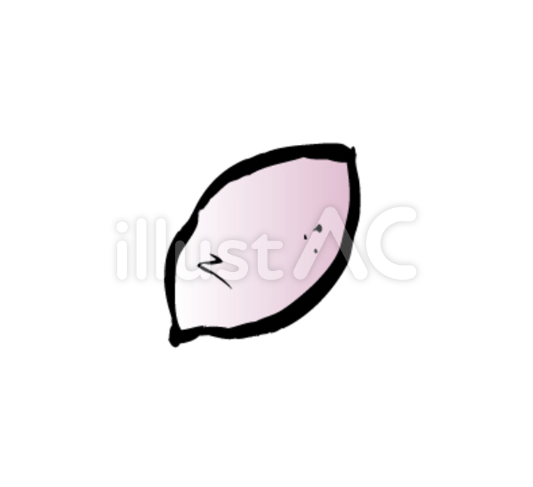 さつまいも サツマイモ,芋,野菜のイラスト素材
