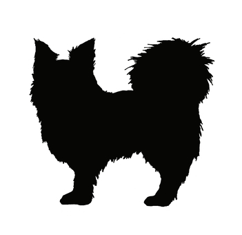 【手描き】チワワのシルエット チワワ,犬,生き物,全身,シルエット,愛玩動物,手描き,リアル,モノクロ,挿絵のイラスト素材