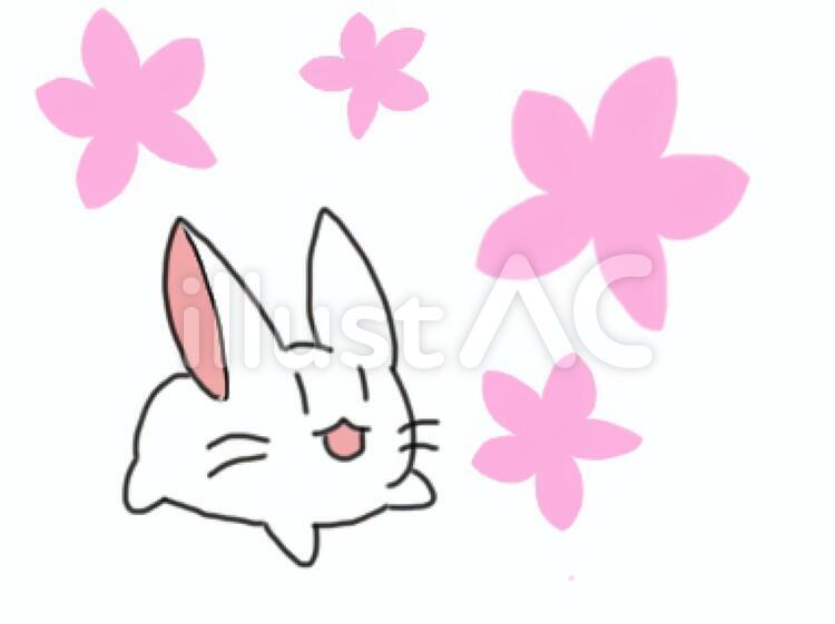 マシュマロみたいなうさぎと桜 うさぎ,動物,白うさぎのイラスト素材