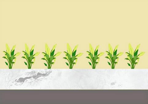 グリーンの植栽がある室内背景 植栽,バナナの木,大理石,部屋,パーテーション,生活,室内,イラスト,合成,背景のイラスト素材