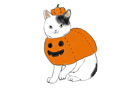 ねこ　ジャックオランタン　ぶち ねこ,猫,秋,動物,ペット,ハロウィン,ハロウィーン,コスチューム,変装,手書きのイラスト素材