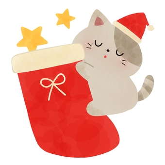 クリスマス靴下と猫 クリスマス,靴下,猫,寝る,動物,サンタ,帽子,絵本,可愛い,ゆるいのイラスト素材