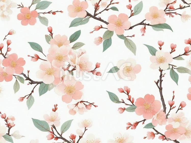 梅の花01 梅,花,柄のイラスト素材