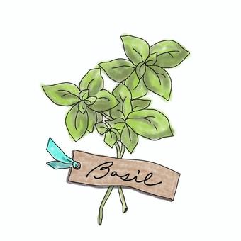 herb basil, , JPG and PNG