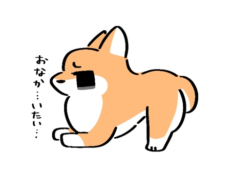 腹痛で祈りのポーズをする犬 犬,柴犬,動物,病気,苦しい,祈りのポーズ,腹痛,キャラクター,デフォルメ,全身のイラスト素材