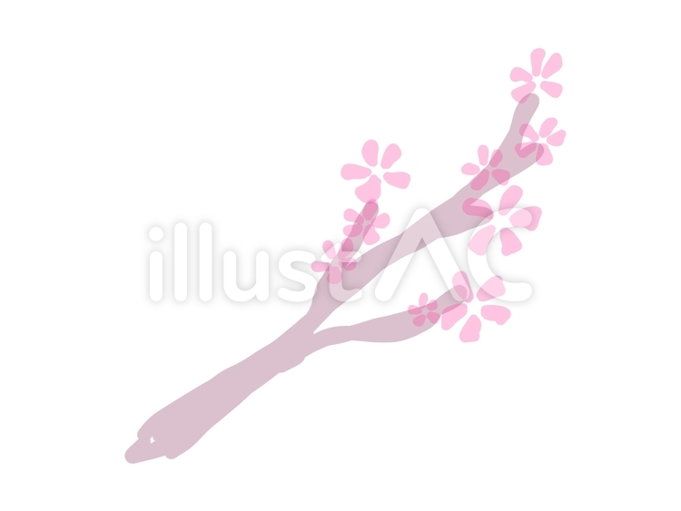 桜の枝 桜,枝,水彩のイラスト素材
