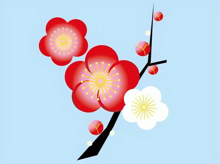 Illustration, plum, plant, plum tree, 